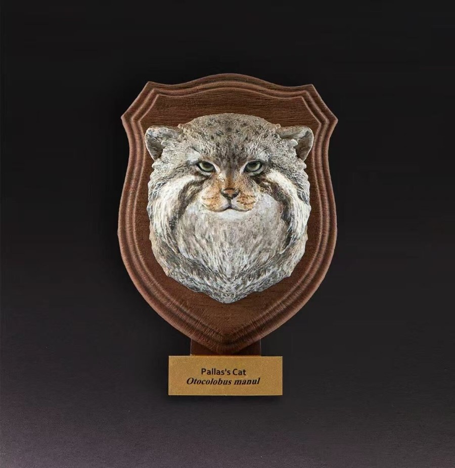 World Animal Encyclopedia Vol. 1