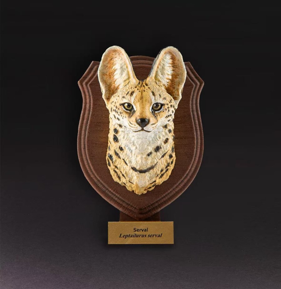 World Animal Encyclopedia Vol. 1