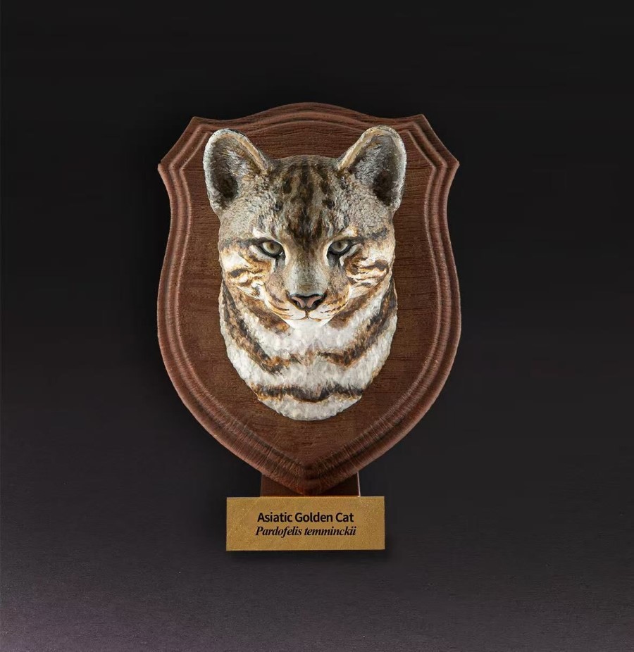 World Animal Encyclopedia Vol. 1