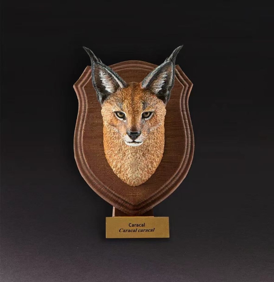 World Animal Encyclopedia Vol. 1