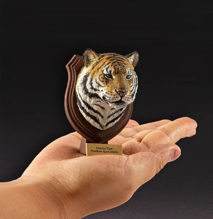 World Animal Encyclopedia Vol. 1