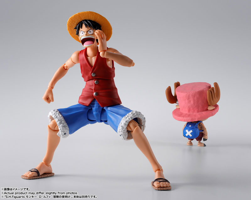 S.H.Figuarts Tony Tony Chopper -Drum Island- ONE PIECE