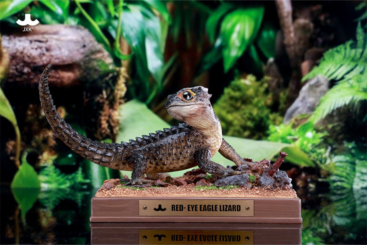 Tribolonotus gracilis [JXK305]