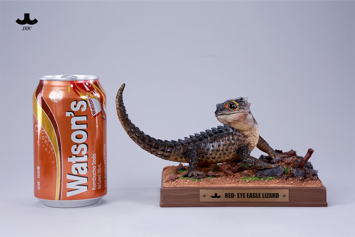 Tribolonotus gracilis [JXK305]