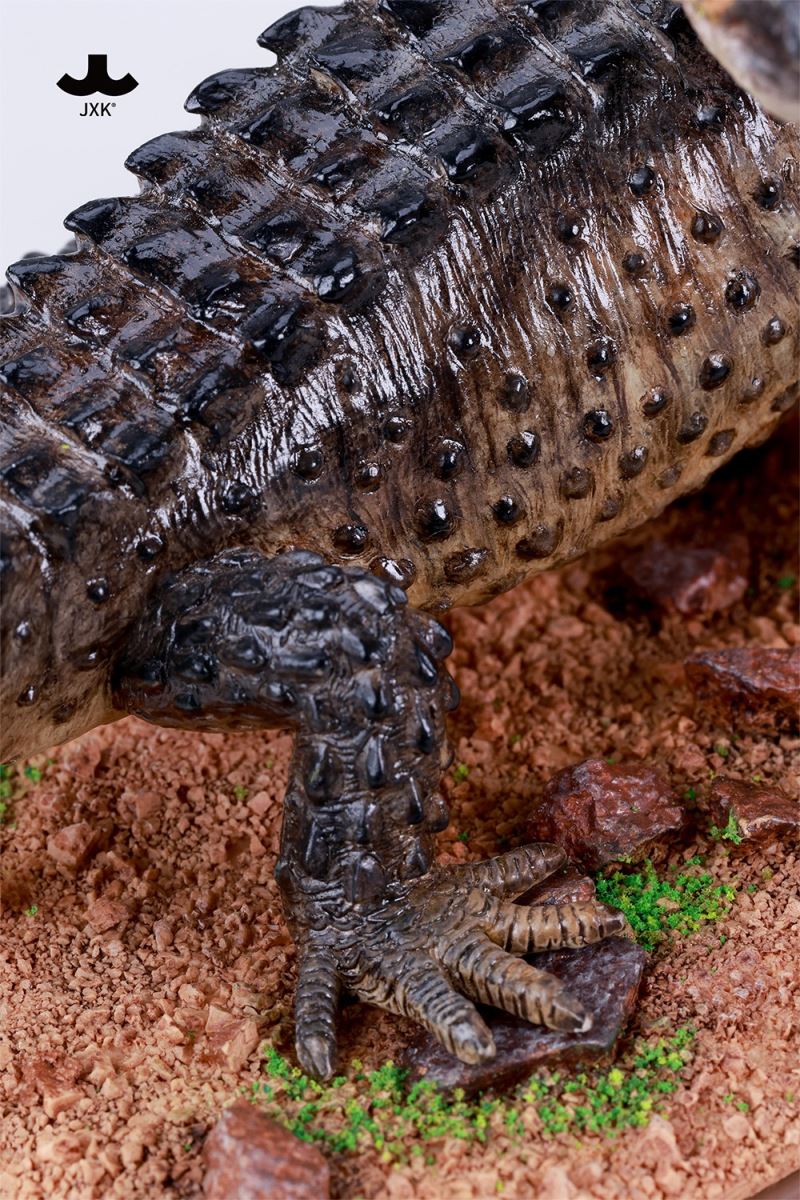 Tribolonotus gracilis [JXK305]