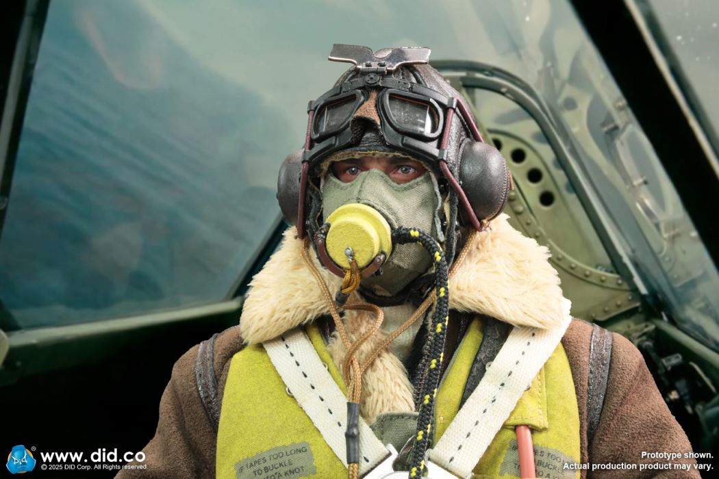 WWII British pilot Squadron Leader Tom 1/6