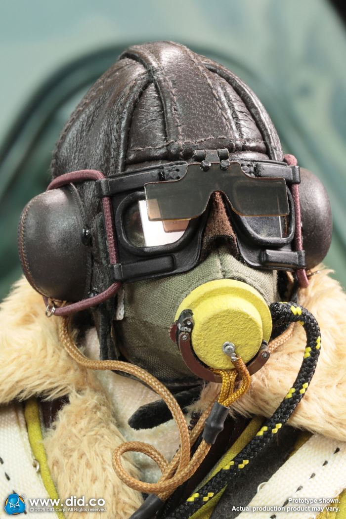 WWII British pilot Squadron Leader Tom 1/6