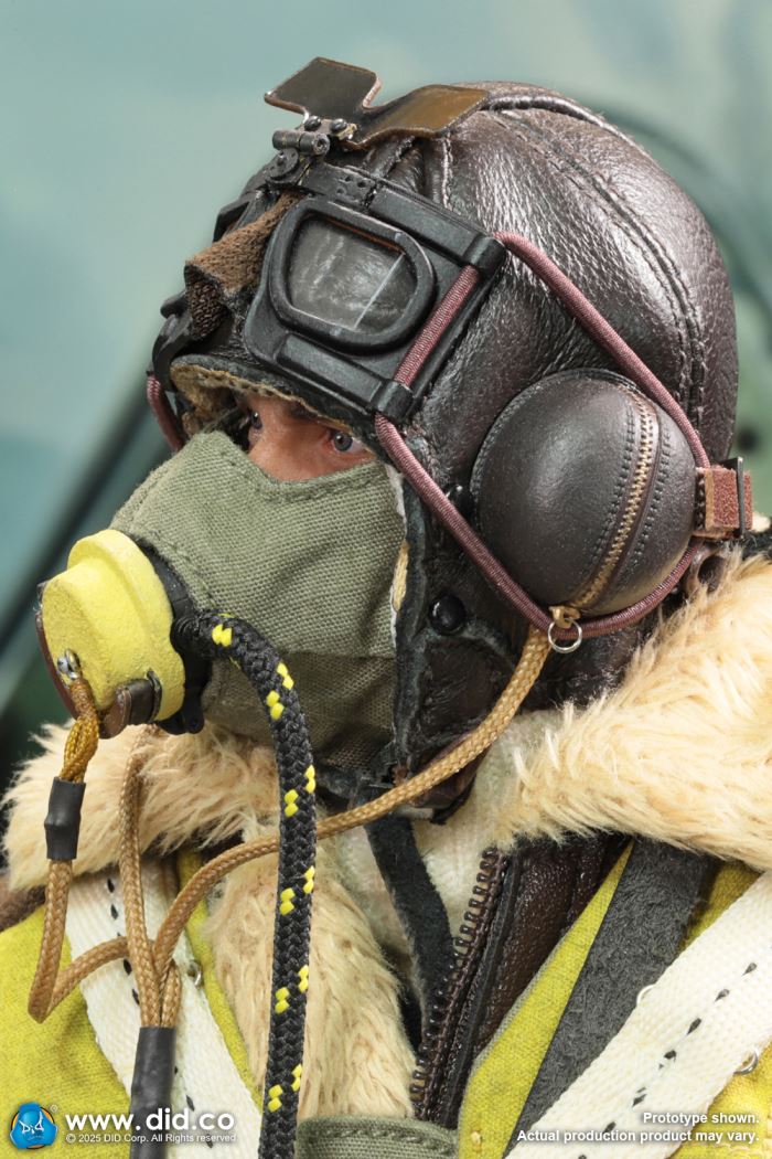 WWII British pilot Squadron Leader Tom 1/6