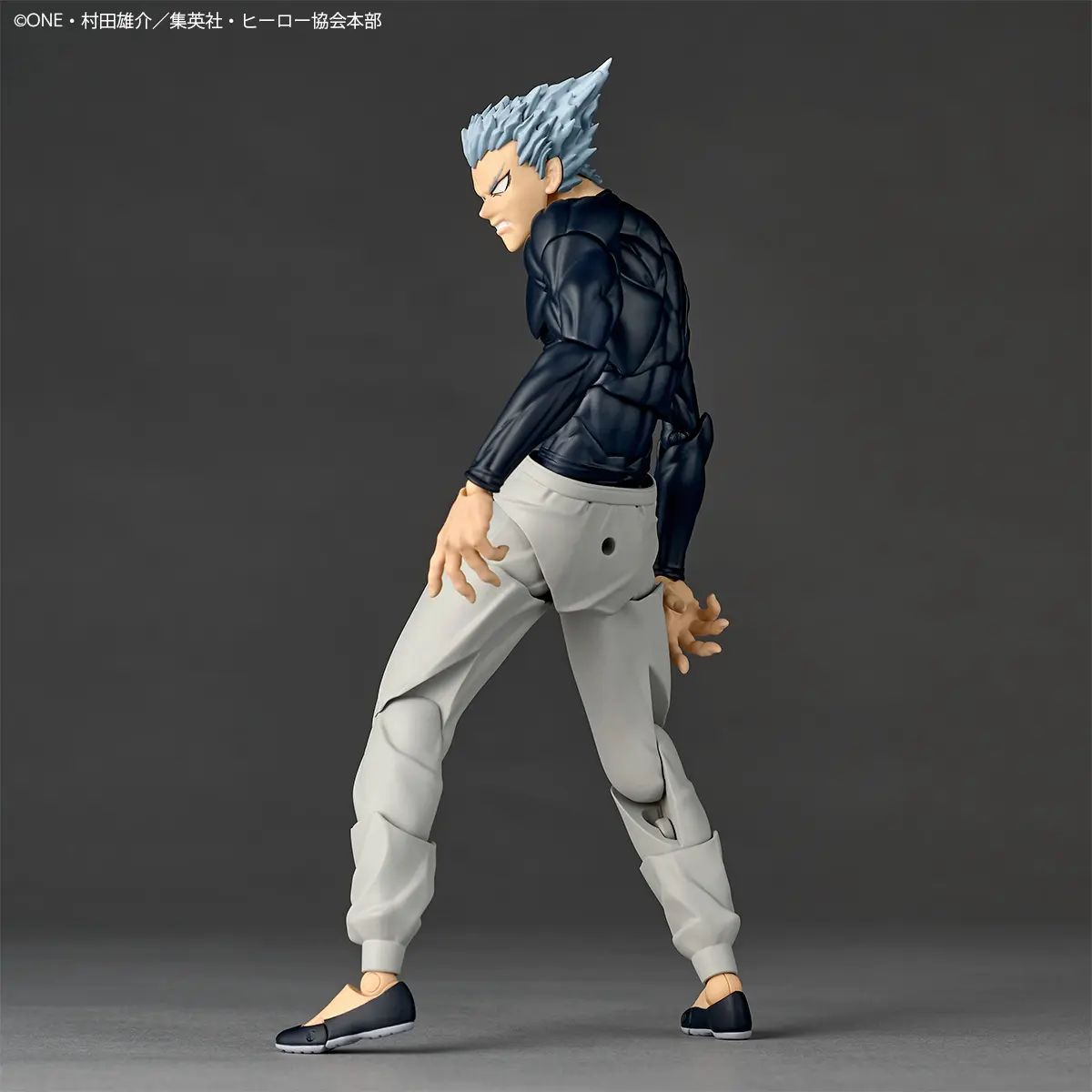Garou - One Punch Man