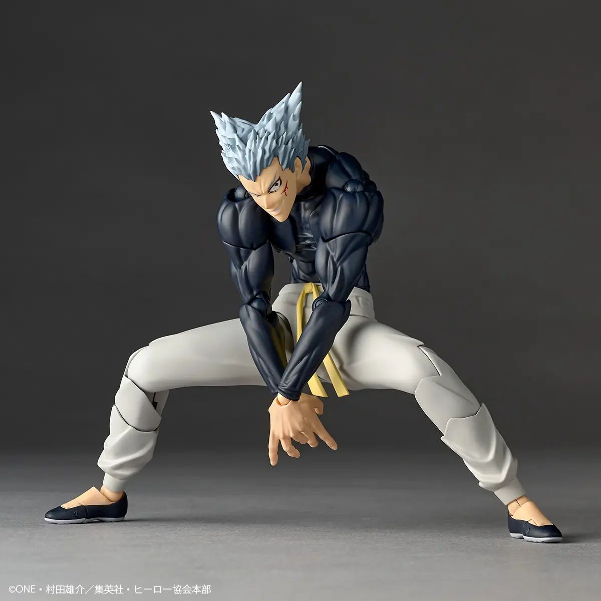Garou - One Punch Man