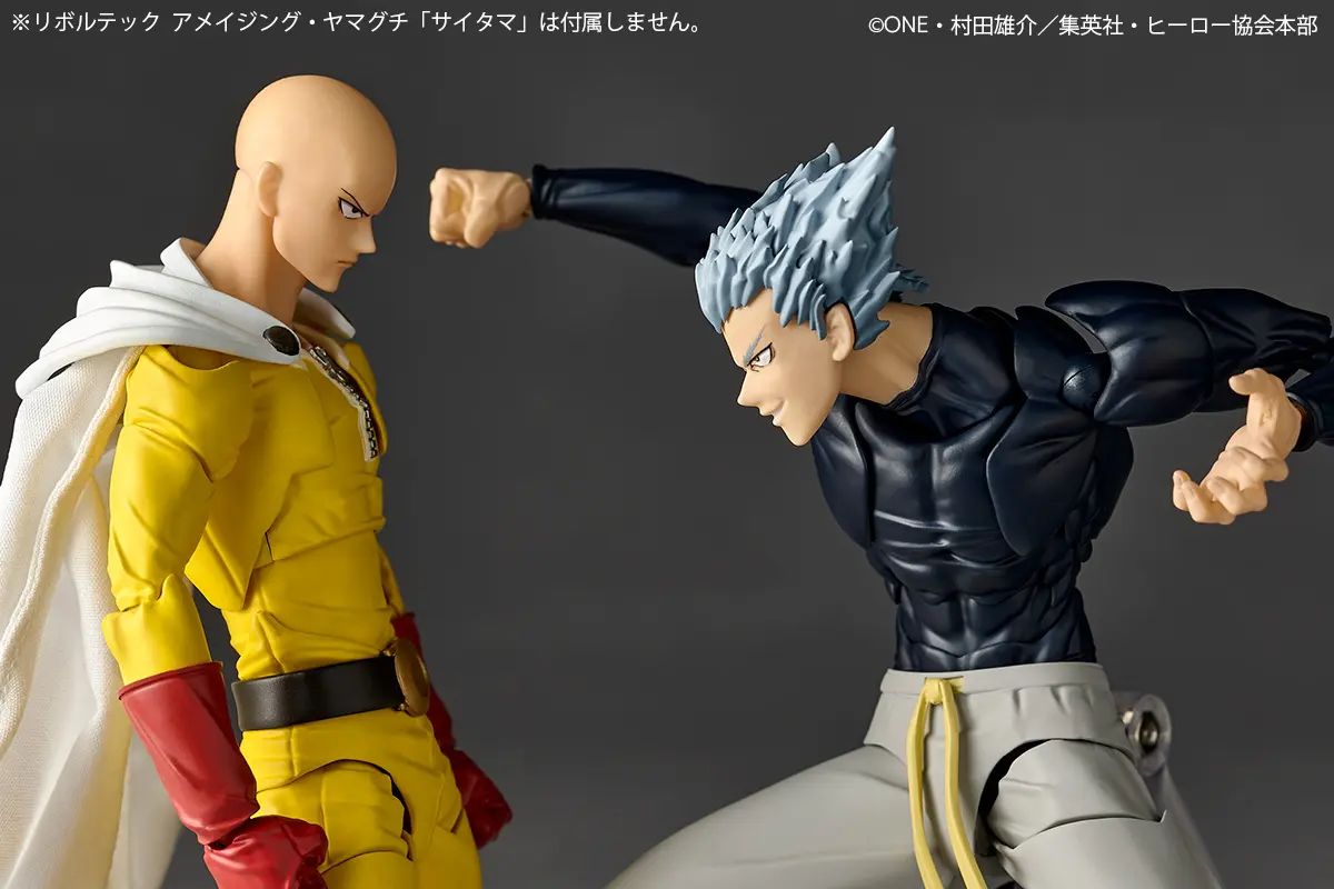 Garou - One Punch Man
