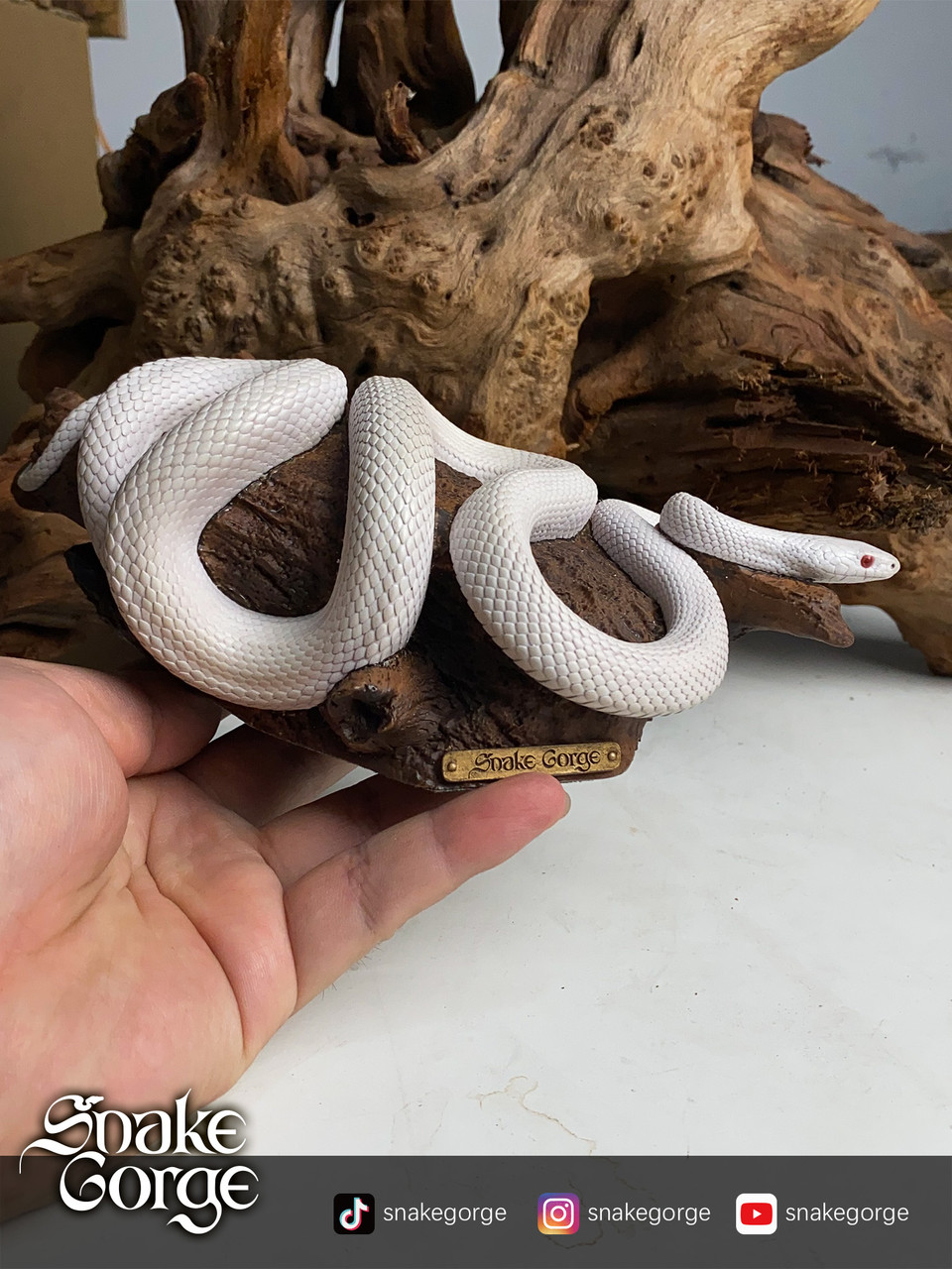 Pantherophis Guttatus Whiteout statue