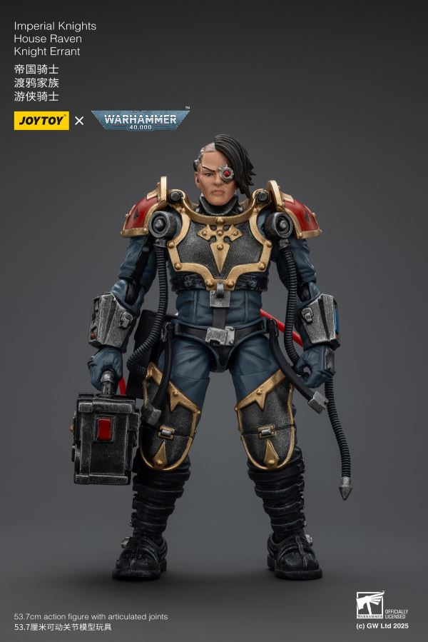 Imperial Knight Raven Family Ranger Knight & Ultraman Relic Armor Soldier 1/18