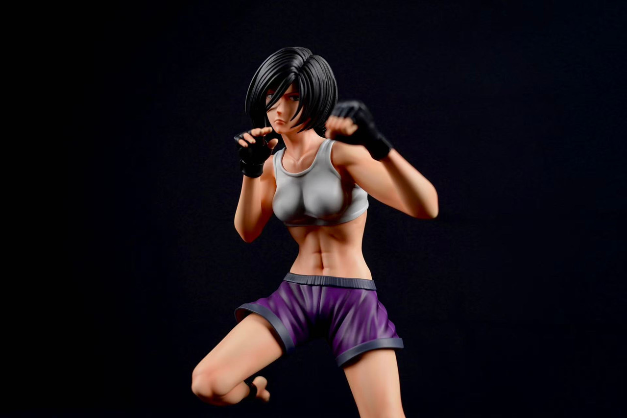 Mikasa the Fist Fighter - Attack on Titan