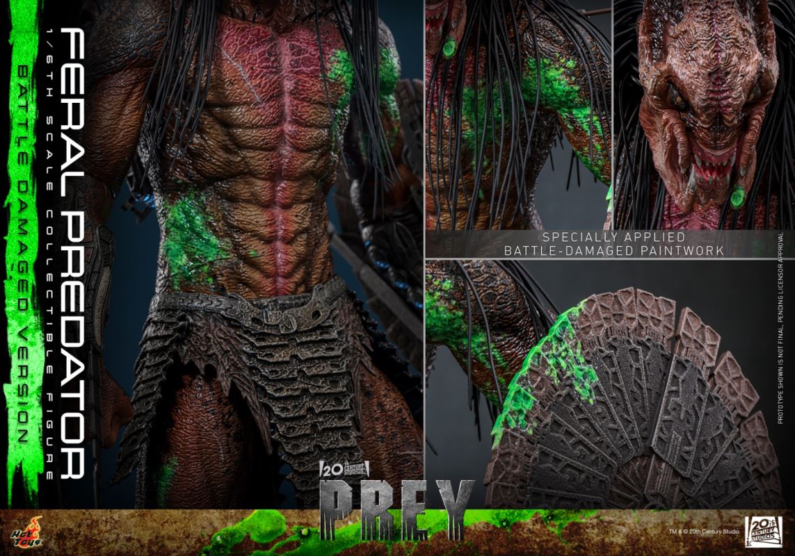 Feral Predator Battle Damaged Version