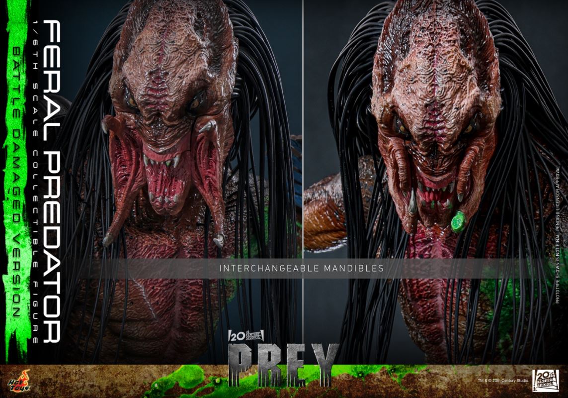 Feral Predator Battle Damaged Version