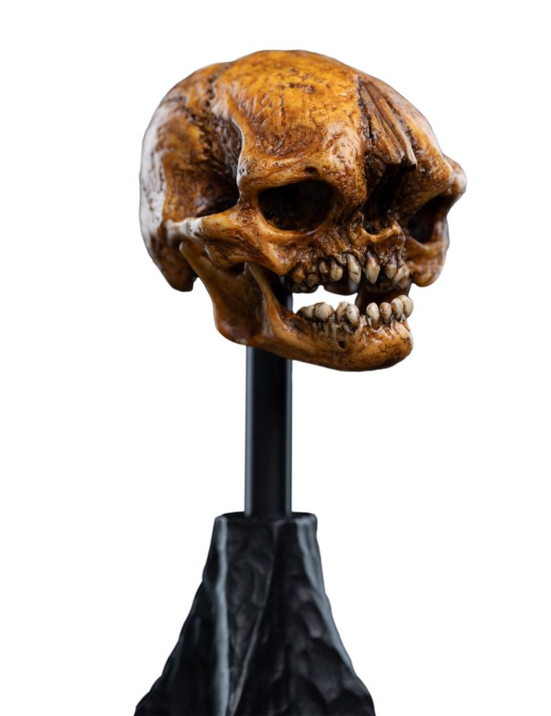 The Hobbit Skull of a Misty Mountain Goblin