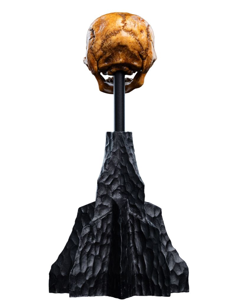 The Hobbit Skull of a Misty Mountain Goblin