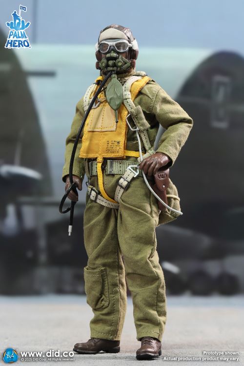 Captain Leif, a pilot of the U.S. Army Air Force in World War II 1/12
