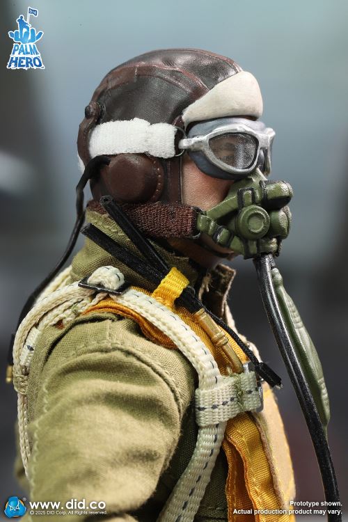 Captain Leif, a pilot of the U.S. Army Air Force in World War II 1/12