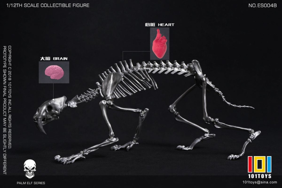 Pocket Elf Series - Sabre-toothed Tiger Skeleton Body 1/12