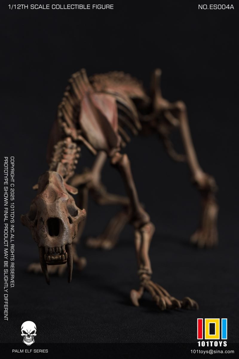 Pocket Elf Series - Sabre-toothed Tiger Skeleton Body 1/12