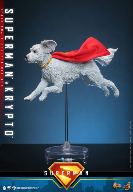 Superman & Krypto 1/6