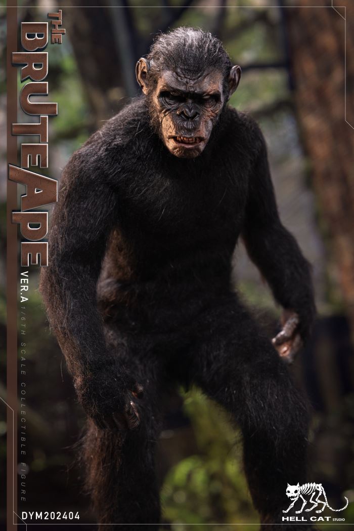 Ape Leader 1/6