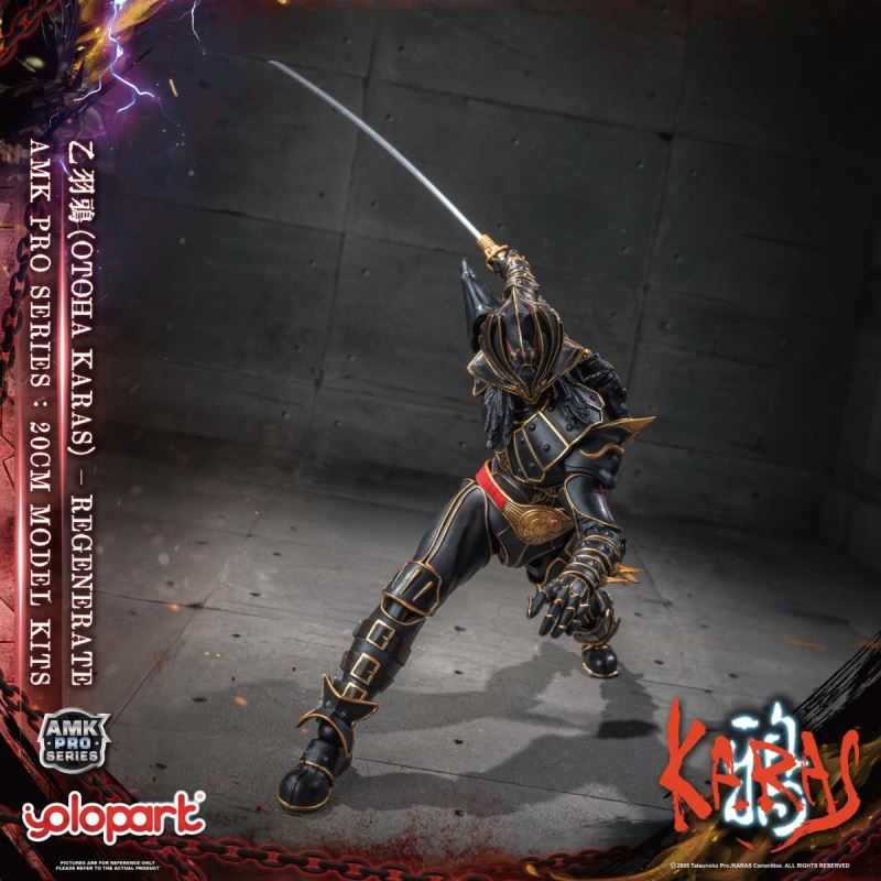 AMK PRO Series Otoha Karas – Regenerate