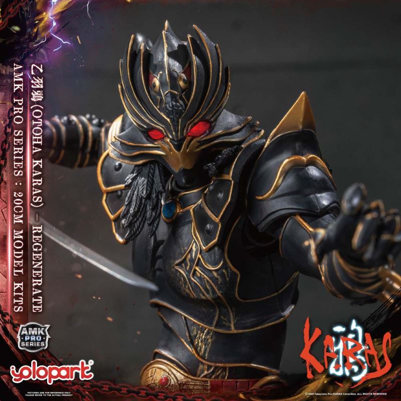 AMK PRO Series Otoha Karas – Regenerate