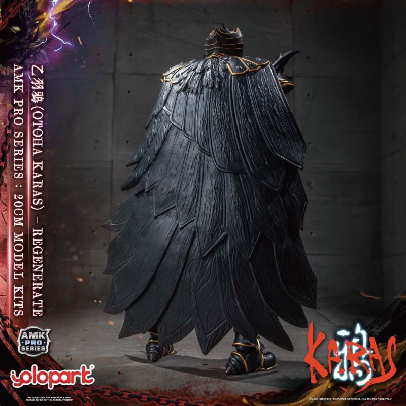 AMK PRO Series Otoha Karas – Regenerate