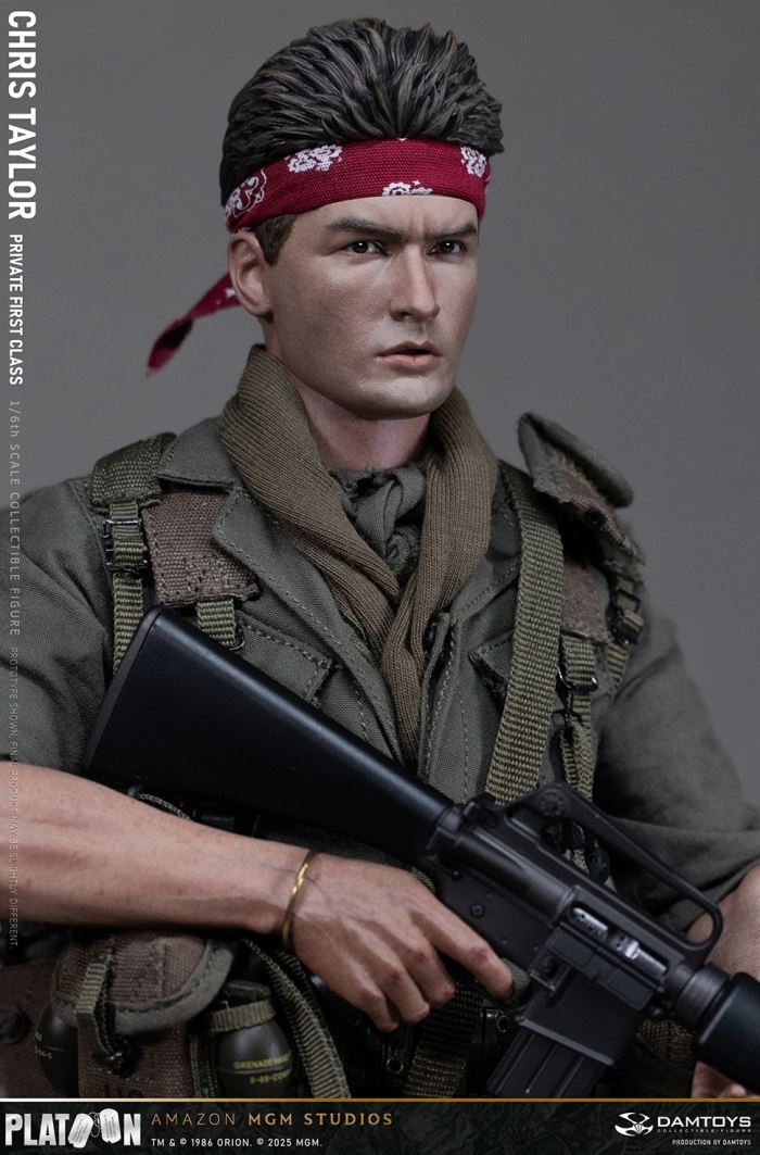 Platoon - Chris Taylor 1/6