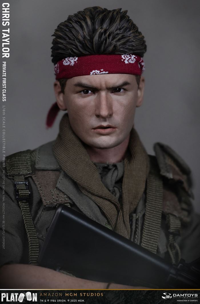 Platoon - Chris Taylor 1/6