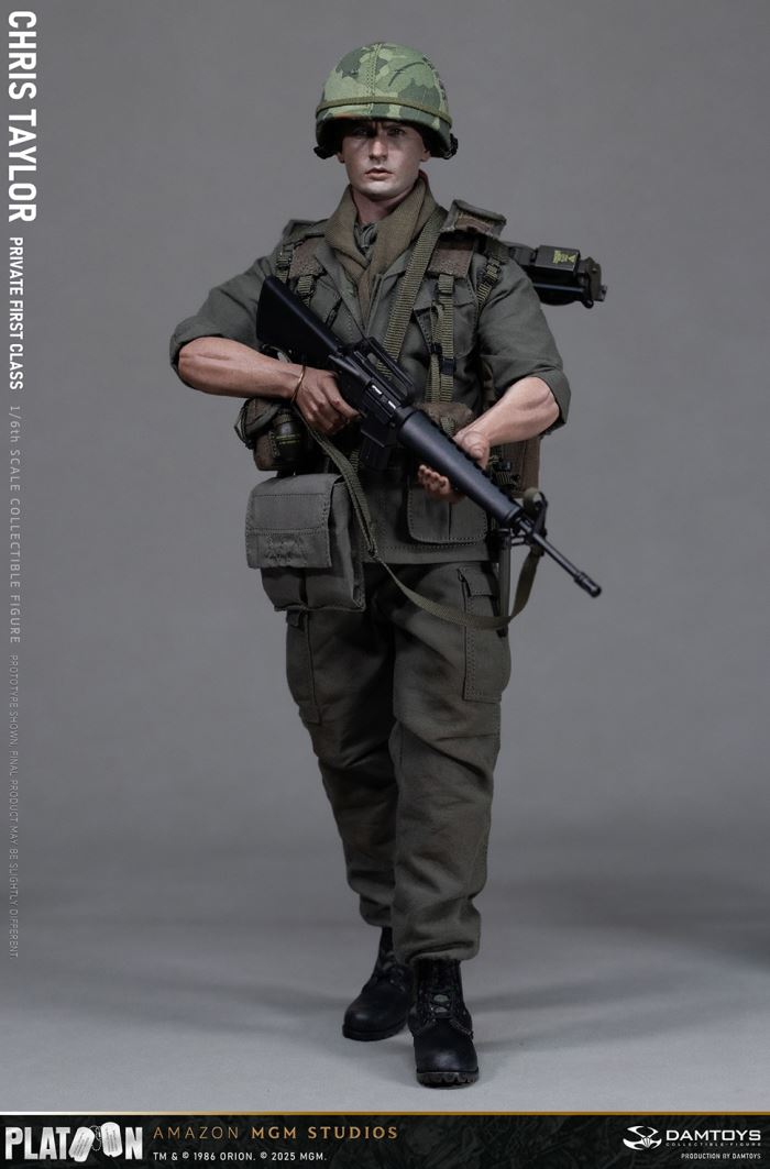 Platoon - Chris Taylor 1/6