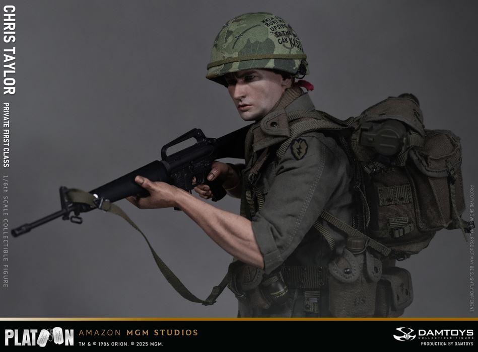 Platoon - Chris Taylor 1/6