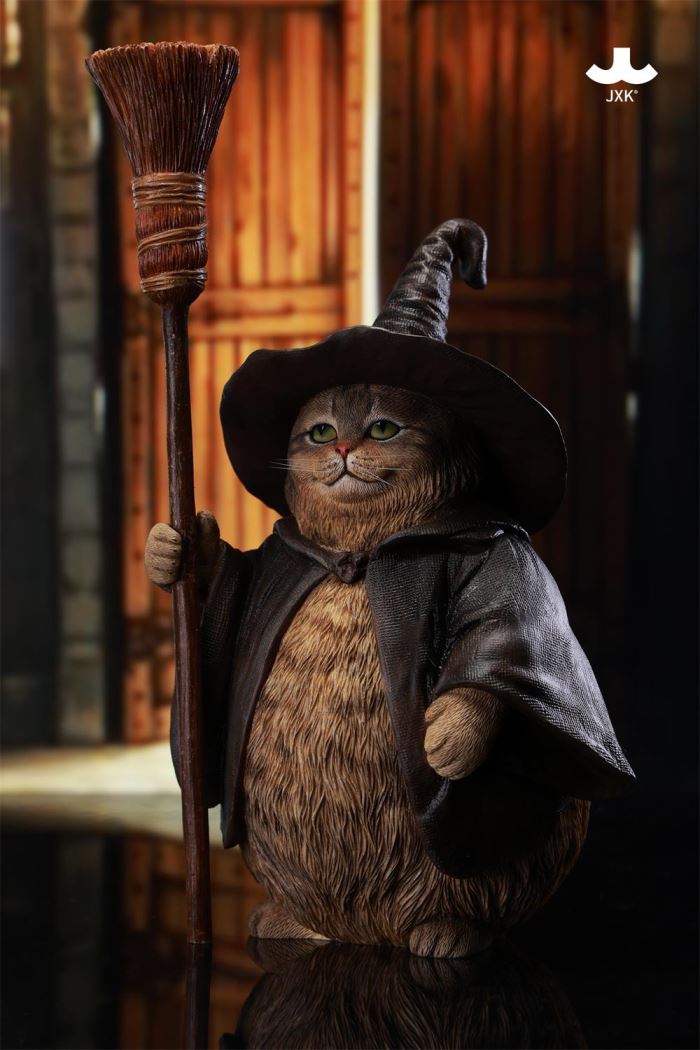 Wizard Cat
