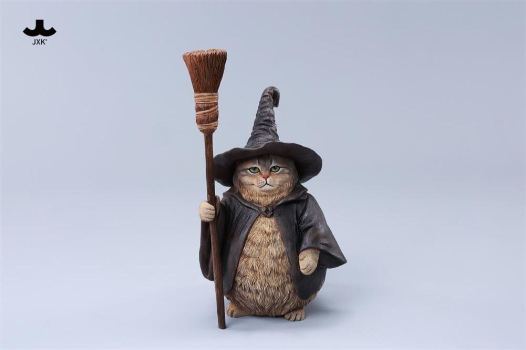Wizard Cat