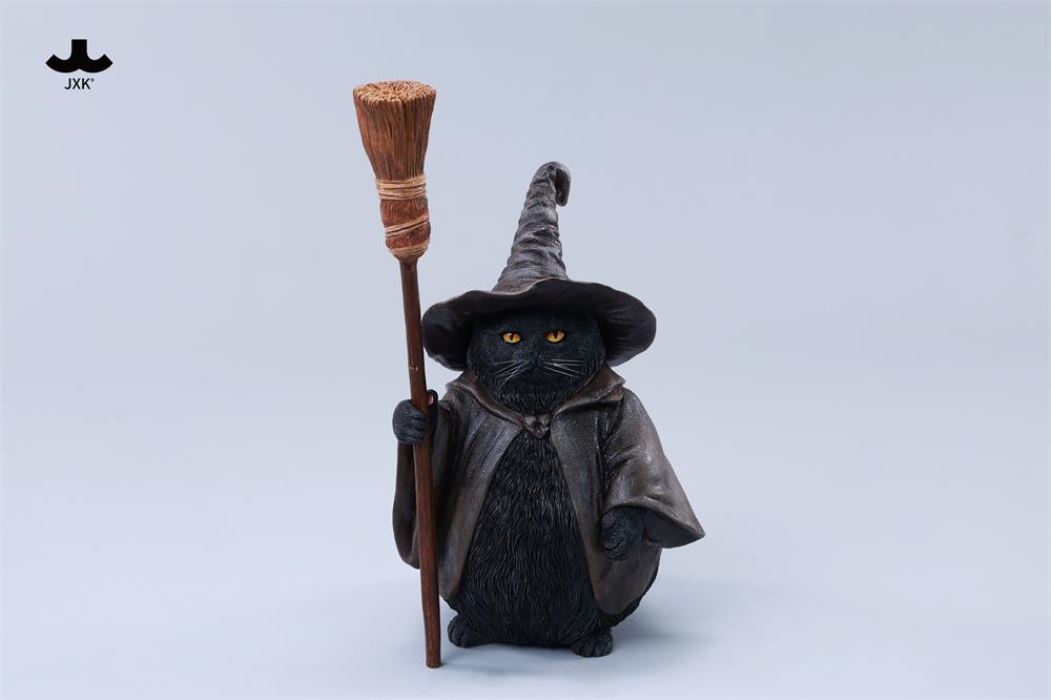 Wizard Cat