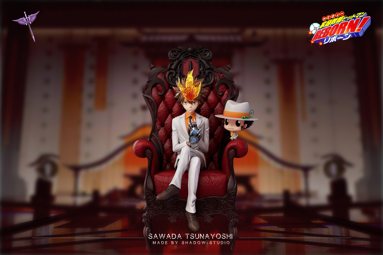 Tsunayoshi Sawada - Reborn