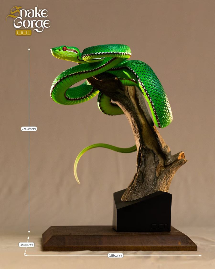 Animal museum Trimeresurus gumprechti