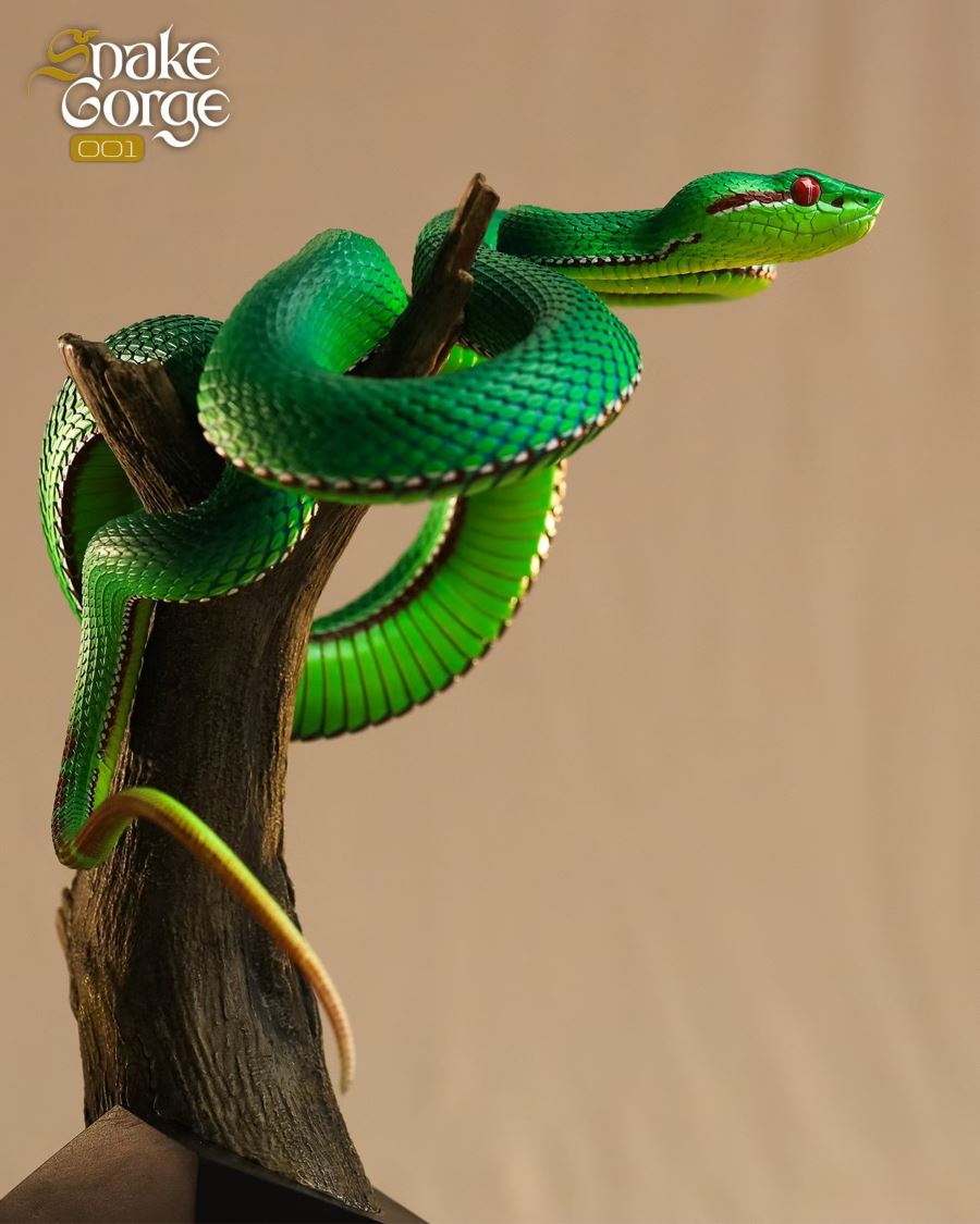 Animal museum Trimeresurus gumprechti
