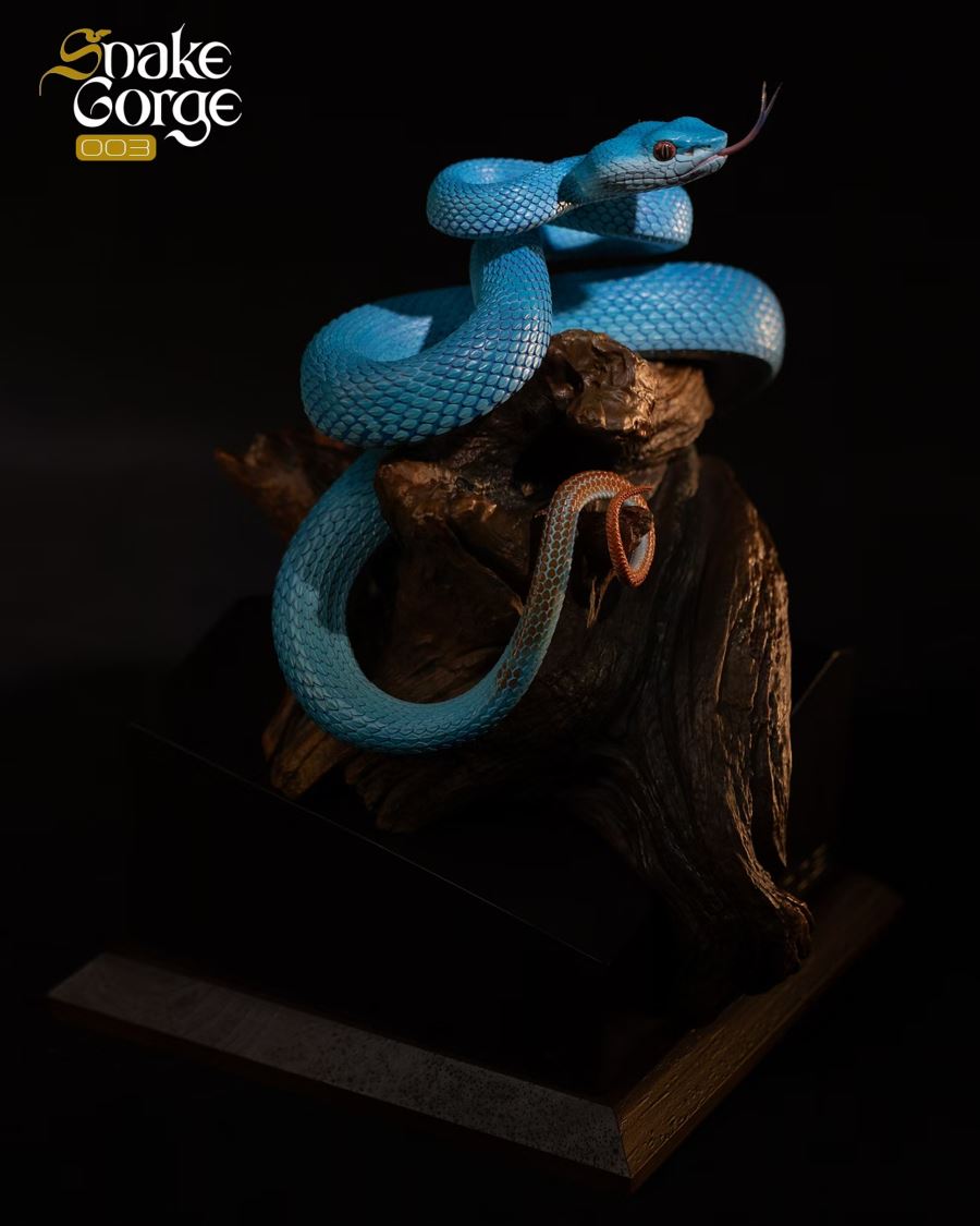 Animal museum Indonesian pit viper