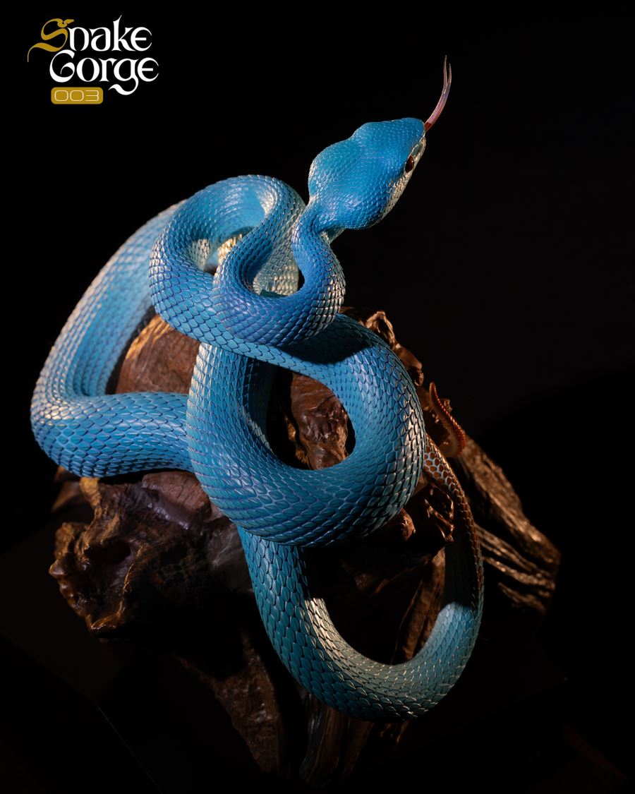 Animal museum Indonesian pit viper