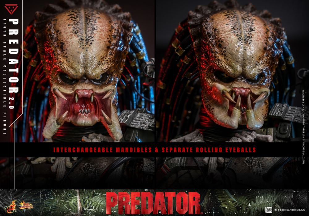 Predator 1/6