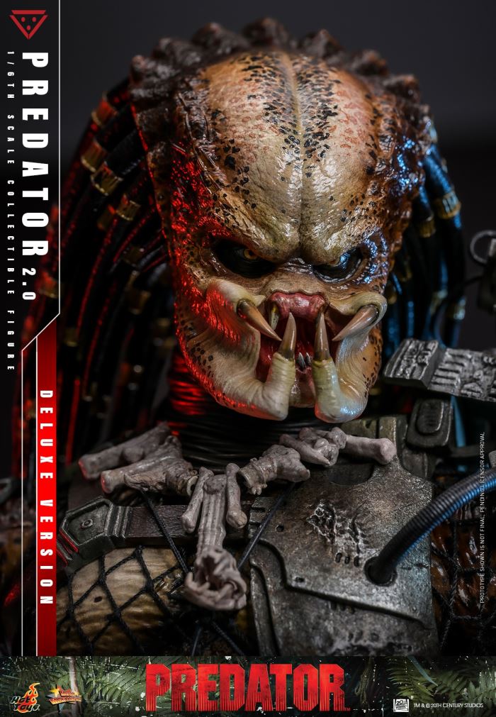 Predator 1/6