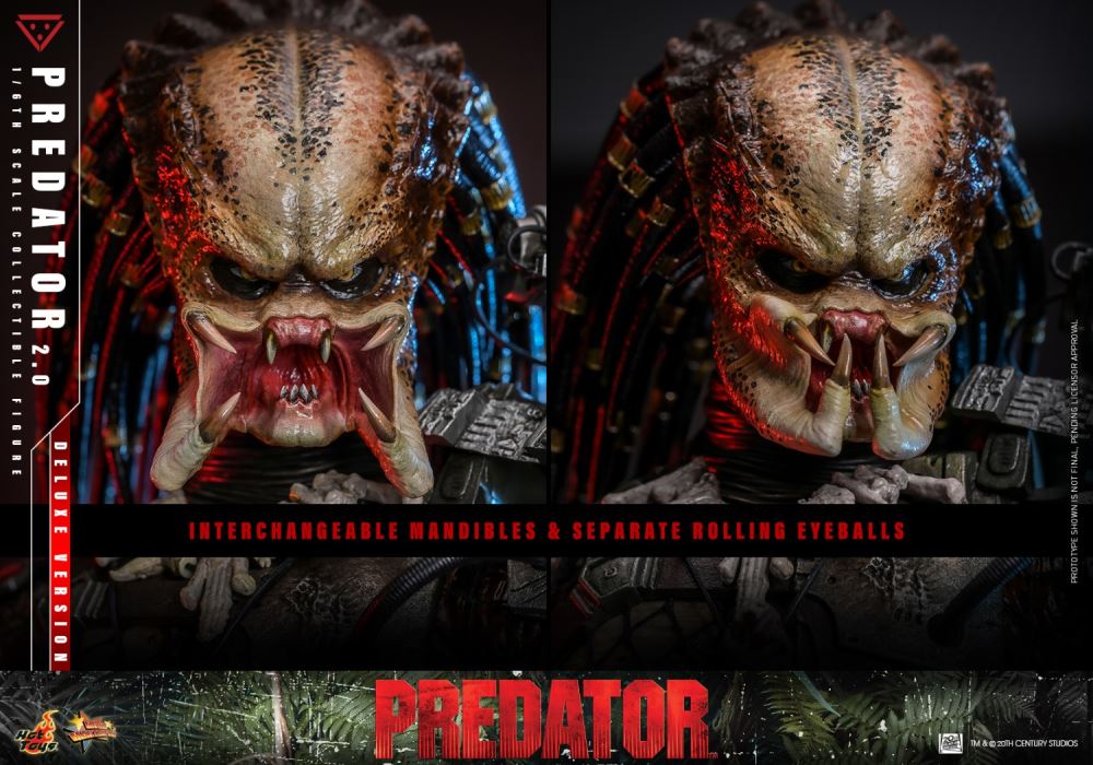 Predator 1/6