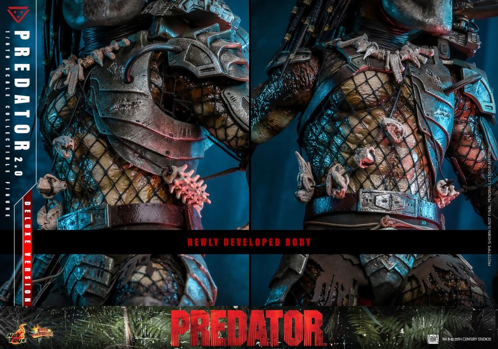 Predator 1/6
