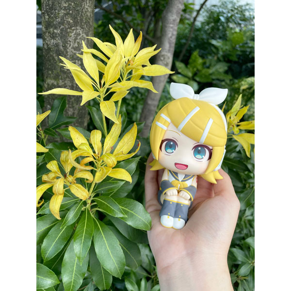 LookUp Kagamine ~ Rin & Len