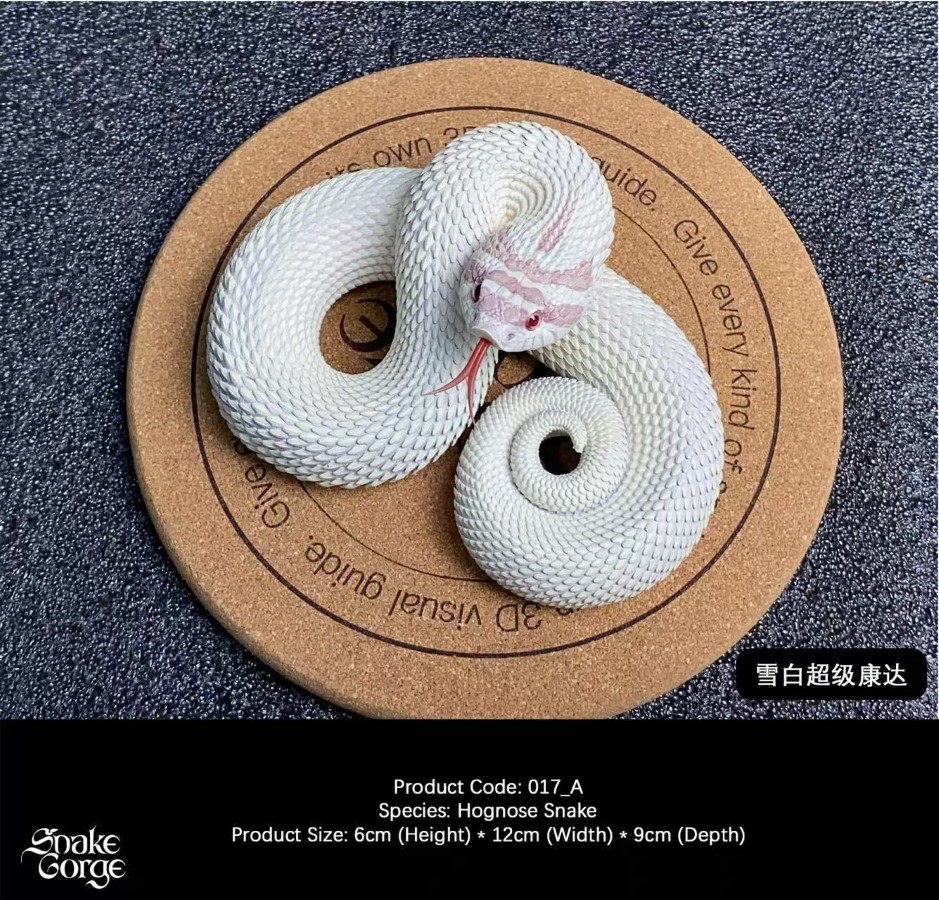 Hognose Snake 