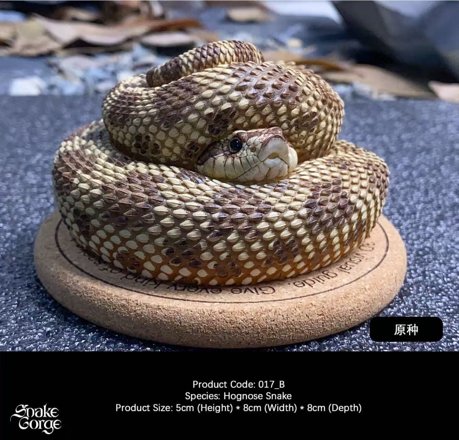 Hognose Snake 
